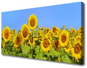 Tablou pe panza canvas Floarea soarelui Floral Galben Verde