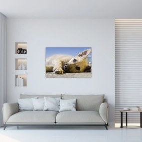 Tablou cu cățeluș dormind (90x60 cm)