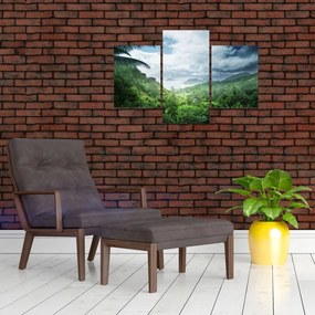 Tablou -Jungla din Seychelles (90x60 cm)