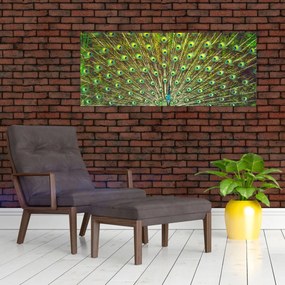 Tablou - Peacock (120x50 cm)
