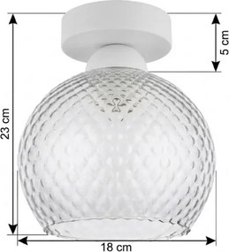 BRILAGI - Lampă de tavan LED R GLASS 1xE27/60W/230V Ø 18 cm alb/gri fumuriu
