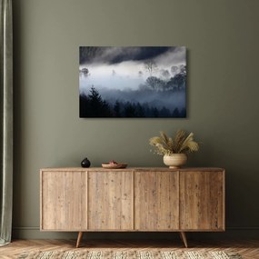 Tablou cu ceță deasupra pădurii (90x60 cm)