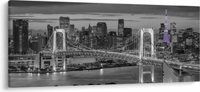 Tablou - Orașul mare cu turnul mov (120x50 cm)