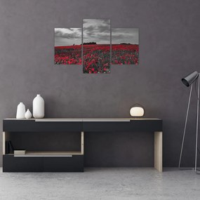 Tablou cu maci (90x60 cm)