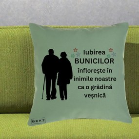 Cadou pentru Bunici - Perna Personalizata Bunicii Iubirea Infloreste Silueta Neagra Flori, 40x40 cm, Verde, Husa Detasabila, Perna Inclusa, BEKZ®