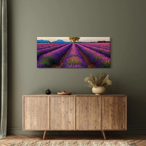 Tablou - Câmp de lavandă (120x50 cm)