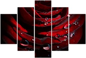 Tablou - Trandafir (150x105 cm)