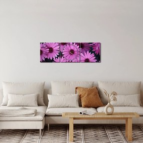 Tablou cu florile roz (cu ceas) (90x30 cm)