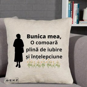 Cadou pentru Bunica - Perna Personalizata Bunica Mea Comoara Iubire Intelepciune Silueta cu Nepoata, 40x40 cm, Bej Canapea, Husa Detasabila, Perna Inclusa, BEKZ®