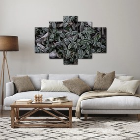 Tablou - Plante înghețate (150x105 cm)
