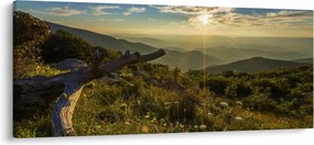 Tablou - Priveliștea (120x50 cm)