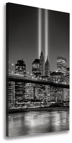 Tablouri tipărite pe pânză Manhattan New York City