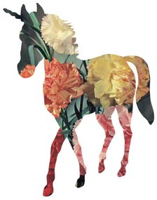 Ilustrație Horse, CSA Images