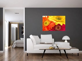 Tablou - Flori Gerbery (90x60 cm)