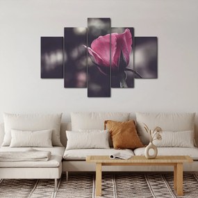 Tablou - Detaliu florii de trandafir (150x105 cm)