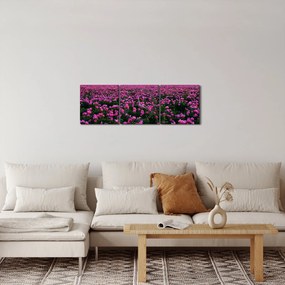 Tablou - Pajiștea cu lalele violet (cu ceas) (90x30 cm)