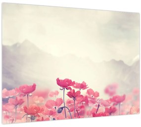 Tablou - Maci (70x50 cm)