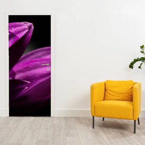Fototapet pentru ușă - Picătură de apă (95x205cm)