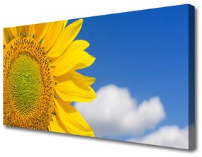 Tablou pe panza canvas Nori de floarea-soarelui Floral aur galben albastru