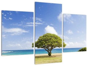Tablou plaja cu copac (90x60 cm)