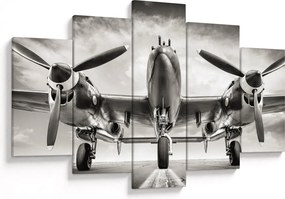 Tablou - Warbird (150x105 cm)