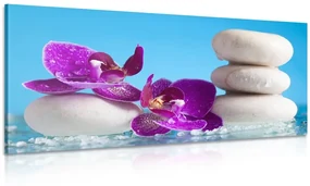 Tablou wellness natura moartă