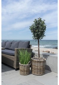 Gili Coșuri cubu rattan, natural 2 bucăți