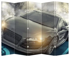 Paravan - Audi - gri (210x170 cm)