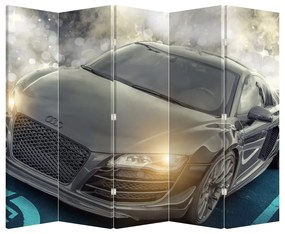 Paravan - Audi - gri (210x170 cm)