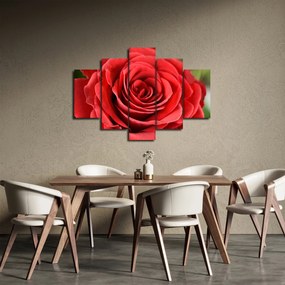 Tablou - Flori de trandafir (150x105 cm)