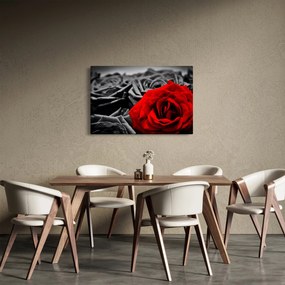 Tablou - Flori de trandafir (90x60 cm)