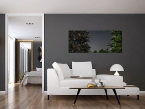 Tablou cu cerul nocturn (120x50 cm)
