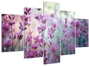 Tablou - Lavandă (150x105 cm)