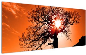 Tablou - Fag la apus de soare (120x50 cm)