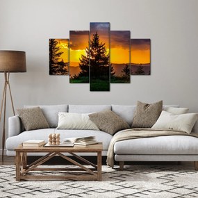 Tablou - coniferi (150x105 cm)