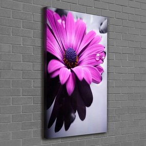 Imprimare tablou canvas Gerbera roz