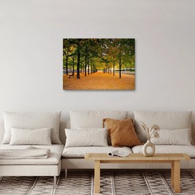 Tablou cu alee cu copaci în toamnă (70x50 cm)