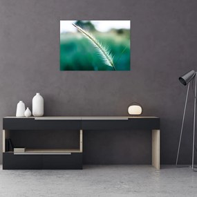Tablou pe sticlă cu fir de iarbă (70x50 cm)