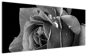 Tablou cu trandafir - albneagră (120x50 cm), în 40 de alte dimensiuni noi