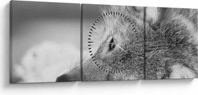 Tablou - Lup,alb-negru (cu ceas) (90x30 cm)
