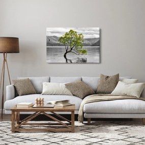 Tablou copacului în mijlocul lacului (90x60 cm)