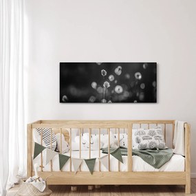 Tablou - Iarba de bumbac în pajiște (120x50 cm)