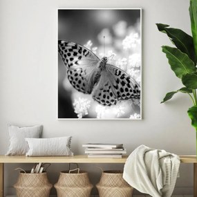 Poster - Fluture (A4)