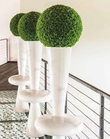 Aranjament floral elegant in forma de sfera, MOLUCELLA MEDIUM 1141292.60