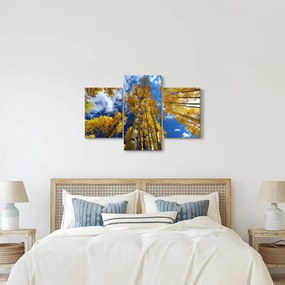 Tablou - Aspen (90x60 cm)