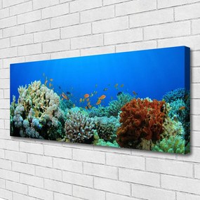 Tablou pe panza canvas Coral Reef Natura Multi