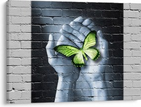 Tablou - Fluture verde în perete (70x50 cm)