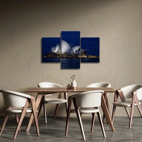 Tabloul Sydney nocturn (90x60 cm)