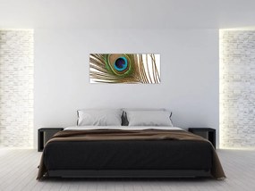 Tablou cu pene de păun (120x50 cm)