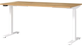 Birou cu blat cu aspect de lemn de stejar cu înălțime ajustabilă electric 80x160 cm Jet – Germania